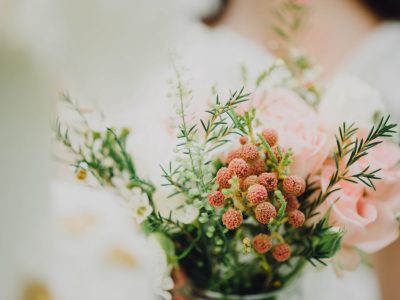 chuttersnap-iQVn40PdwW0-unsplash chuttersnap-iQVn40PdwW0-unsplash